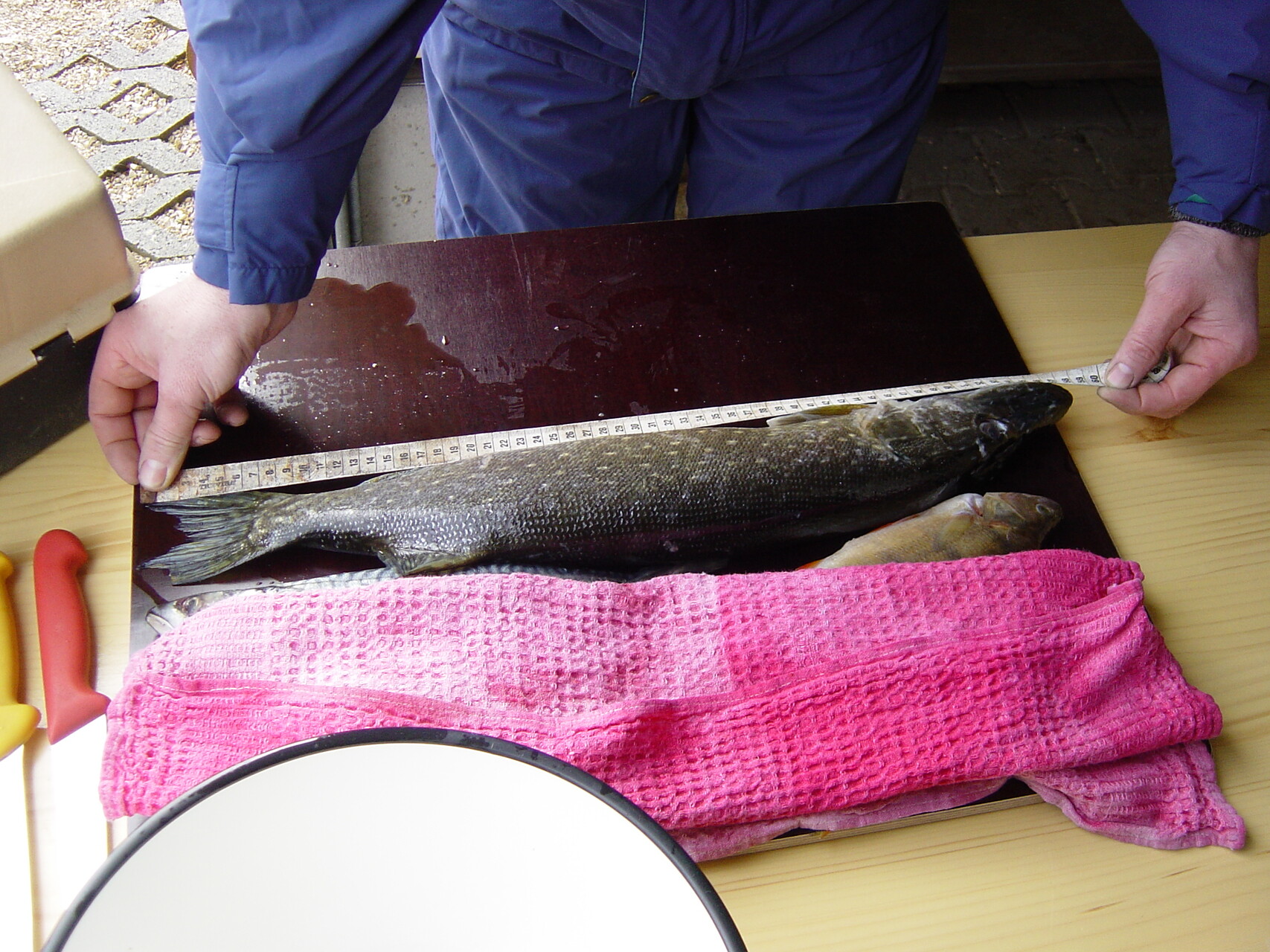 Galeriebild: Bilder vom 14.03.04 001